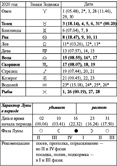 Сад и огород: все делаем вовремя. Сеем, удобряем, собираем