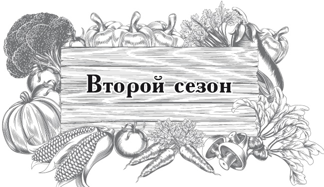 Большой урожай на маленьких грядках. Все секреты повышения урожайности