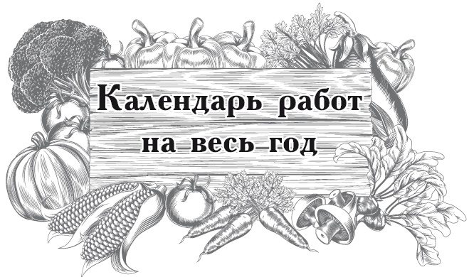 Большой урожай на маленьких грядках. Все секреты повышения урожайности