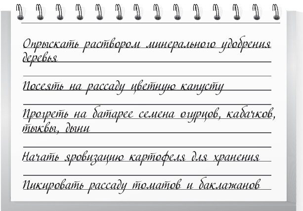 Большой урожай на маленьких грядках. Все секреты повышения урожайности