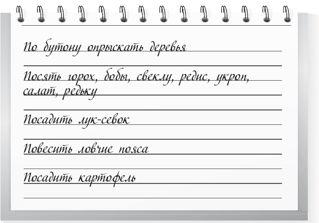 Большой урожай на маленьких грядках. Все секреты повышения урожайности