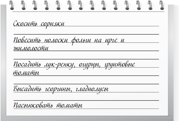 Большой урожай на маленьких грядках. Все секреты повышения урожайности