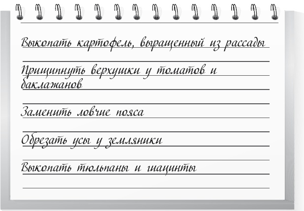 Большой урожай на маленьких грядках. Все секреты повышения урожайности