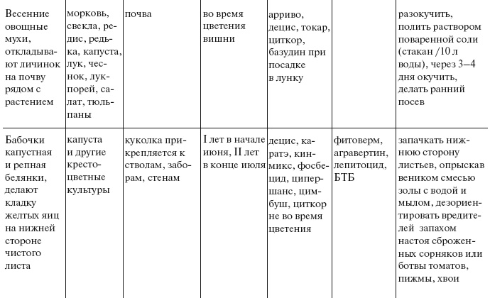 Большой урожай на маленьких грядках. Все секреты повышения урожайности