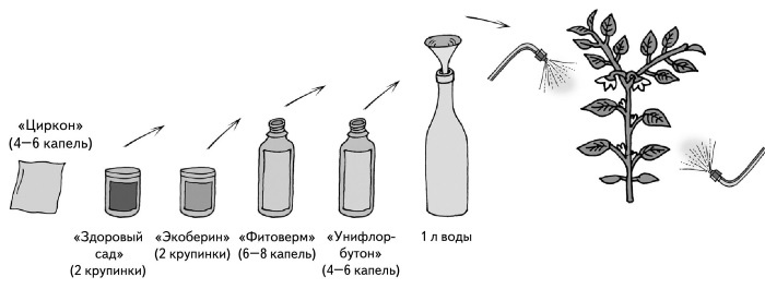 Иллюстрированная энциклопедия огородника для новичков