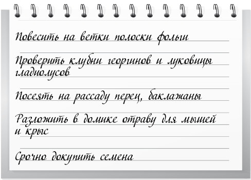 Сад и огород для тех, кому за… без лишних усилий