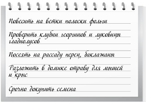 Сад и огород для тех, кому за… без лишних усилий