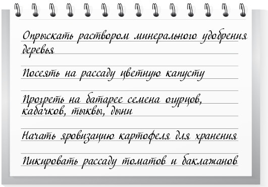 Сад и огород для тех, кому за… без лишних усилий