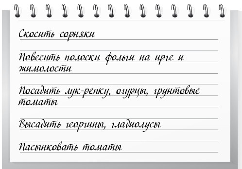 Сад и огород для тех, кому за… без лишних усилий