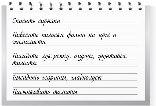 Сад и огород для тех, кому за… без лишних усилий