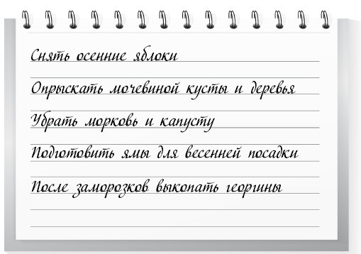 Сад и огород для тех, кому за… без лишних усилий