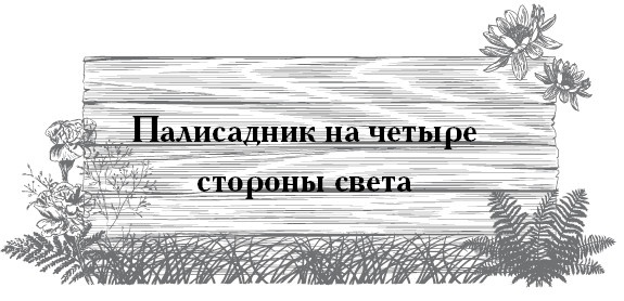 Сад и огород для тех, кому за… без лишних усилий