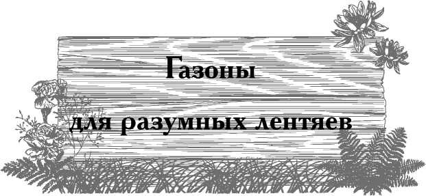 Сад и огород для тех, кому за… без лишних усилий