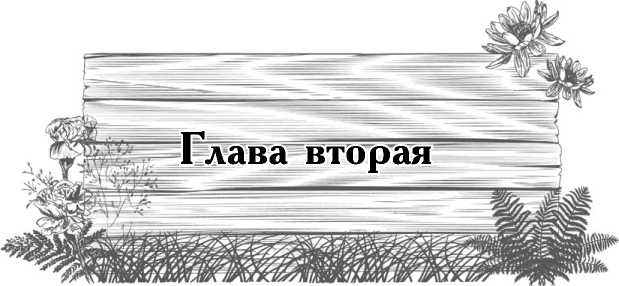 Цветник для ленивых. Цветы от последнего снега до первых морозов