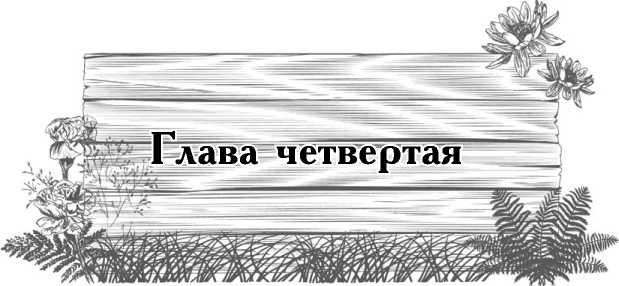 Цветник для ленивых. Цветы от последнего снега до первых морозов