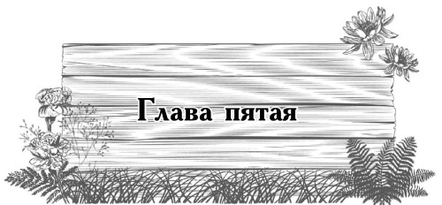 Цветник для ленивых. Цветы от последнего снега до первых морозов