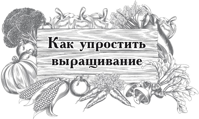 Огород по-русски. Мало сажаем, много собираем