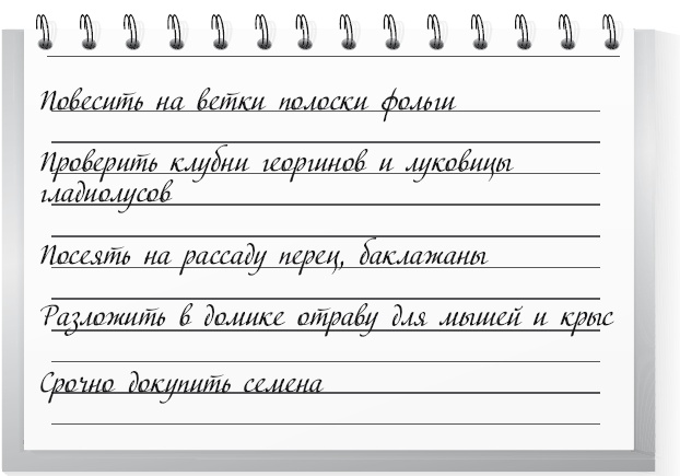 Огород по-русски. Мало сажаем, много собираем