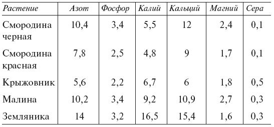 Огород по-русски. Мало сажаем, много собираем