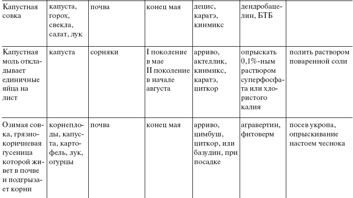 Огород по-русски. Мало сажаем, много собираем