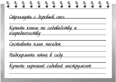 Чудо-грядки: не копаем, а урожай собираем