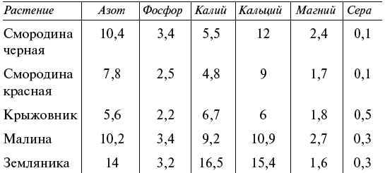 Чудо-грядки: не копаем, а урожай собираем