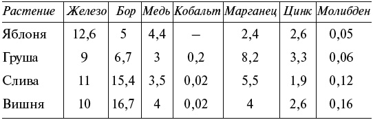 Чудо-грядки: не копаем, а урожай собираем