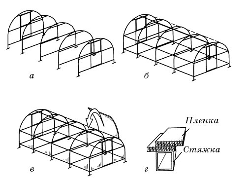 Парники и теплицы. Строим и выращиваем