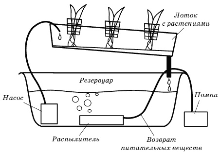 Огород у вас дома