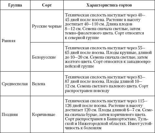 Большая энциклопедия дачника