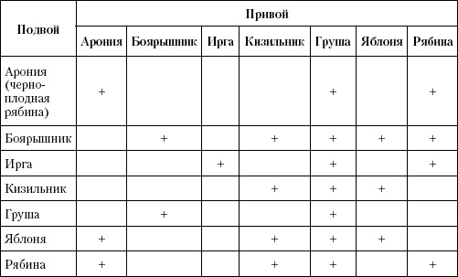 Большая энциклопедия дачника