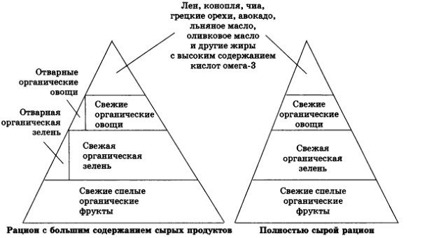 Разумное сыроедение. 13-й шаг к здоровью (+ Книга рецептов нового поколения)