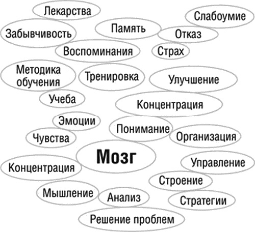 Прокачай свой мозг!