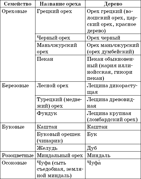 Сильнее, чем женьшень. Орехи-целители