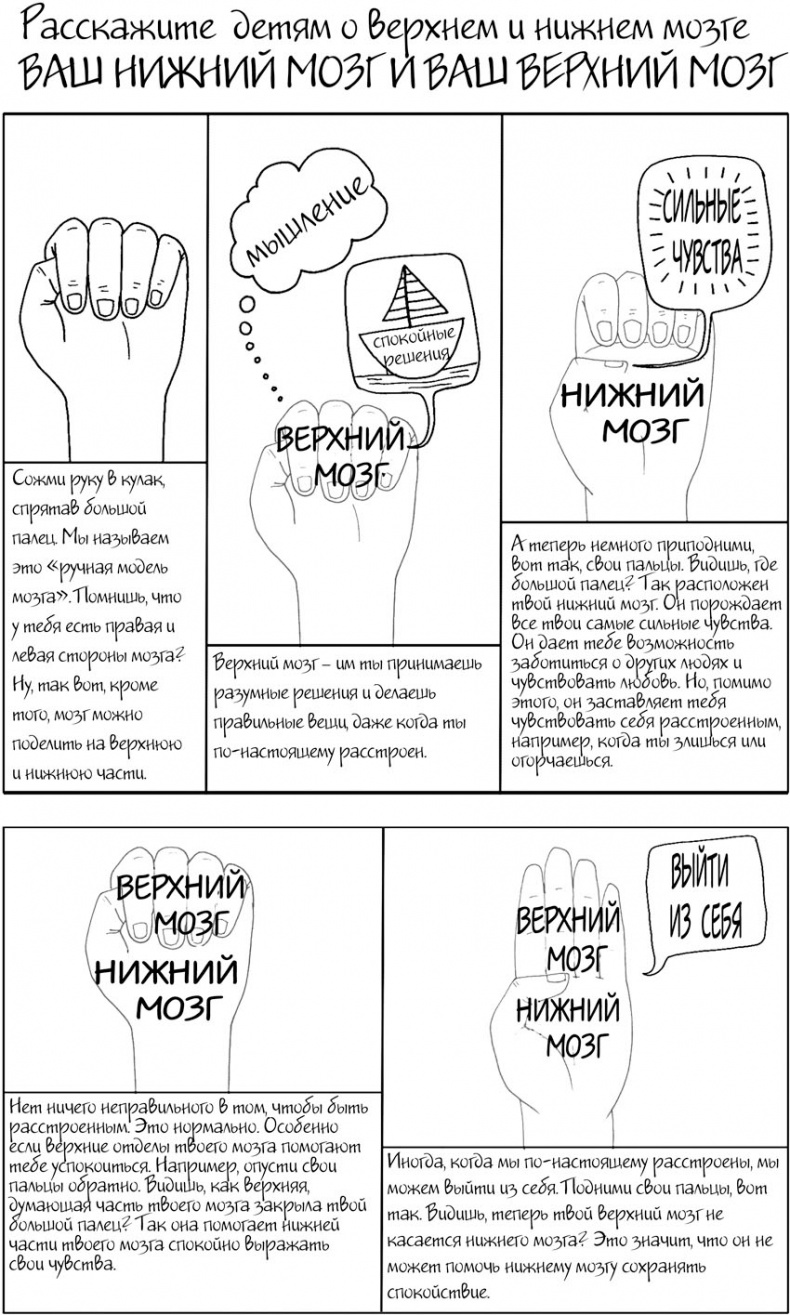 Воспитание с умом. 12 революционных стратегий всестороннего развития мозга вашего ребенка