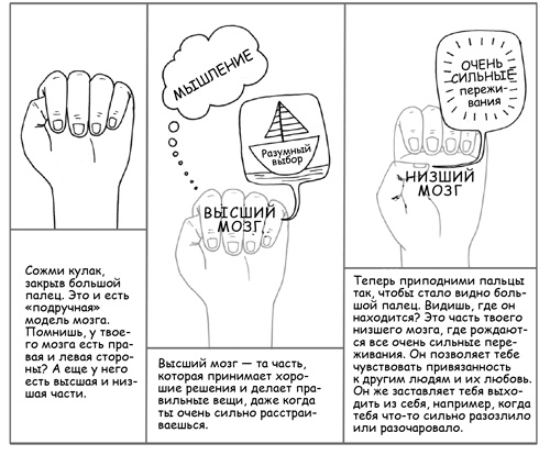 Дисциплина без драм. Как помочь ребенку воспитать характер