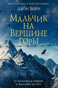 Книга Мальчик на вершине горы