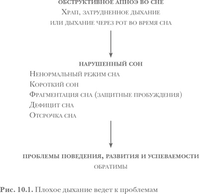 Здоровый сон — счастливый ребенок