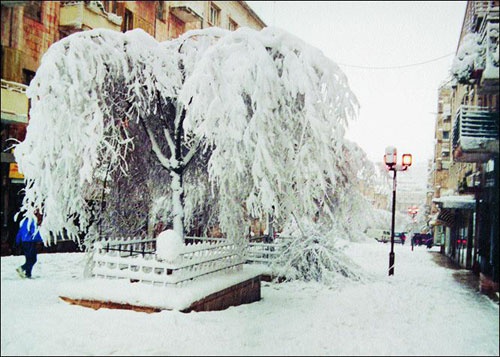 Возвращение блудного сына