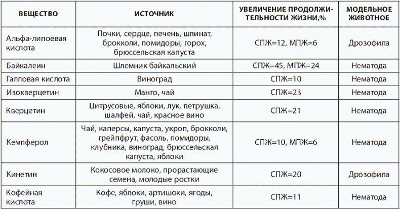 120 лет жизни – только начало. Как победить старение?