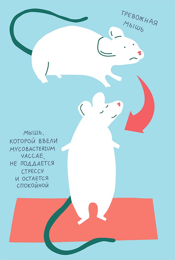 Смотри, что у тебя внутри. Как микробы, живущие в нашем теле, определяют наше здоровье и нашу личность