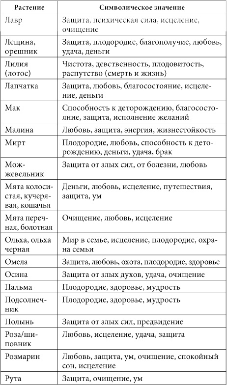 7 минут в день, чтобы желание сбылось