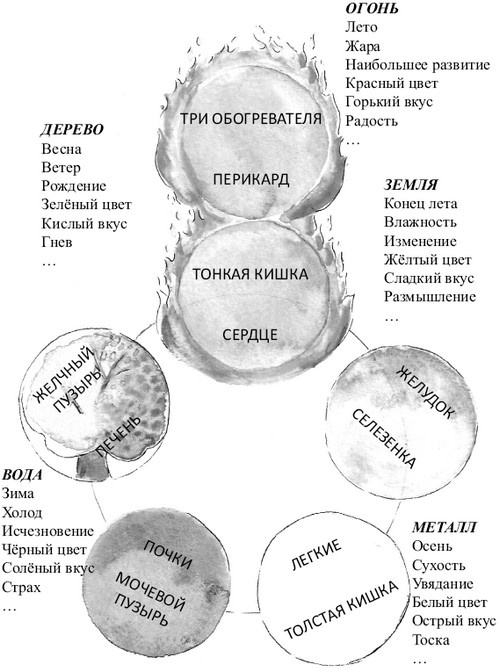 От сомнений к определенности. Опыт врача