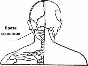 От сомнений к определенности. Опыт врача