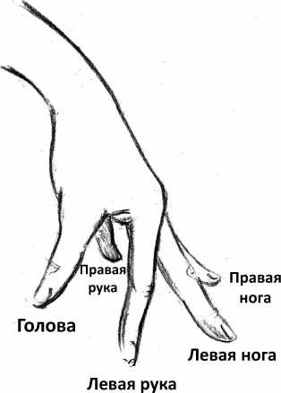 От сомнений к определенности. Опыт врача