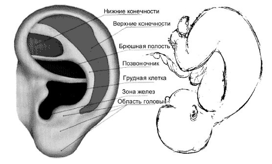 От сомнений к определенности. Опыт врача