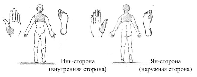 От сомнений к определенности. Опыт врача