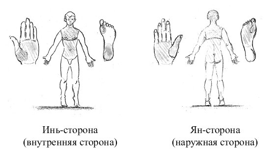 От сомнений к определенности. Опыт врача