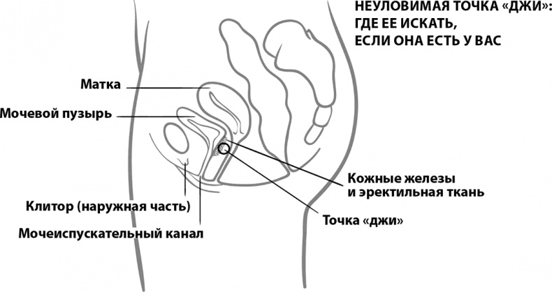 Прайм-тайм. После 50 жизнь только начинается