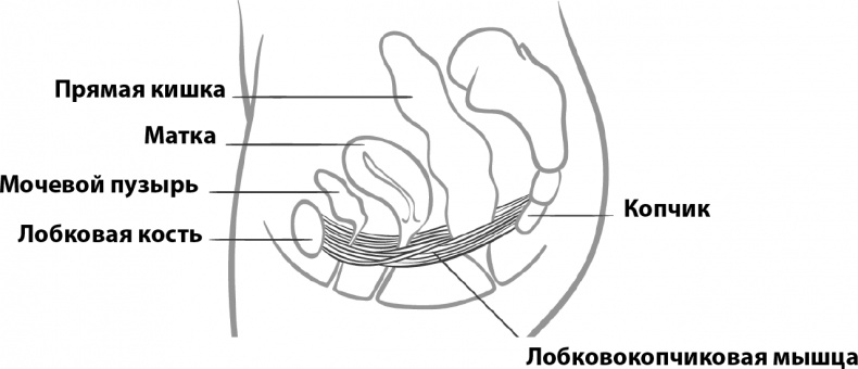 Прайм-тайм. После 50 жизнь только начинается